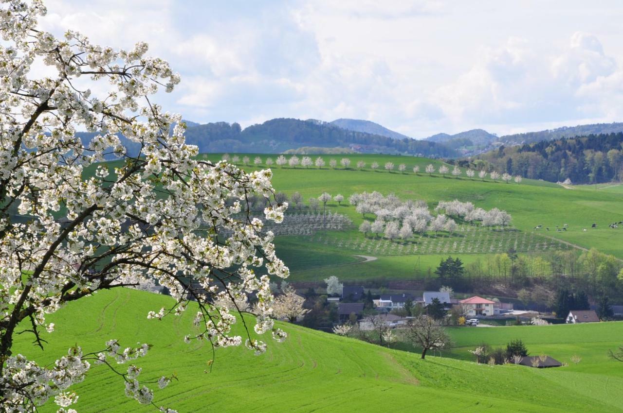 B&B Zum Rossli Zunzgen Exteriör bild